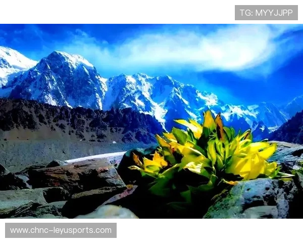 逆境中的“奇迹逆转”:那些永远不会忘记的逆转瞬间,逆境奇袭 逆境中的“奇迹逆转”:那些永远不会忘记的逆转瞬间,逆境奇袭