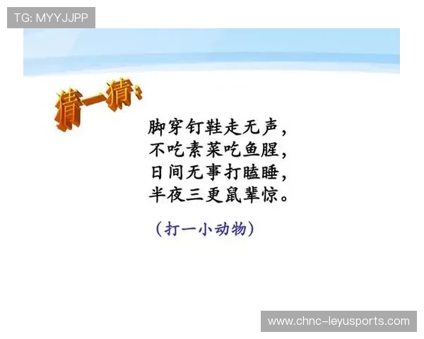 团队运动教会我们的事：信任、牺牲、合作，团队运动心得体会